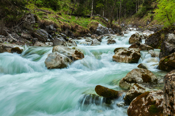 Kaskade Langzeitbelichtung Bewegungsunschärfe Wasser Wald Natur Stock foto © dmitry_rukhlenko