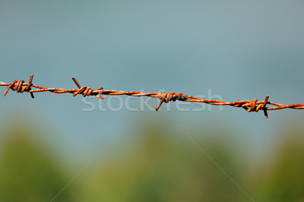 Steel barbed wire Stock photo © dmitry_rukhlenko