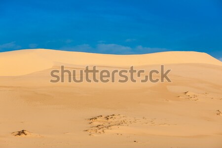White sand dunes on sunrise, Mui Ne, Vietnam Stock photo © dmitry_rukhlenko
