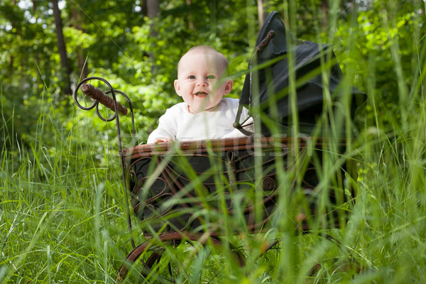 Smiling baby in nature Stock photo © DNF-Style