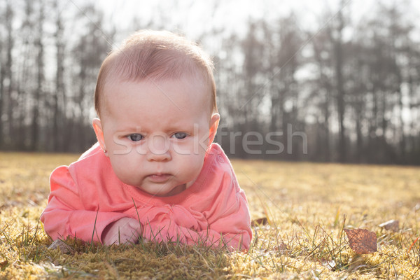 Stock photo: baby on the grass in the sun
