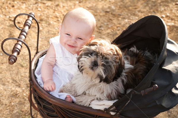 Baby and puppy in vintage pram Stock photo © DNF-Style