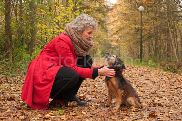 Stok fotoğraf: Kadın · sevimli · köpek · orman · orta · yaşlı · kadın · sonbahar