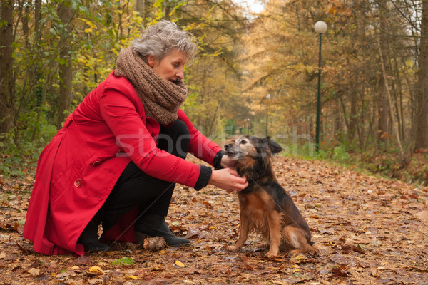 Frau Hund Herbst Wald Dame Stock foto © DNF-Style