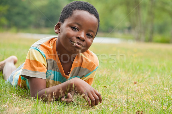 African băiat mananca iarbă primăvară fericit Imagine de stoc © DNF-Style