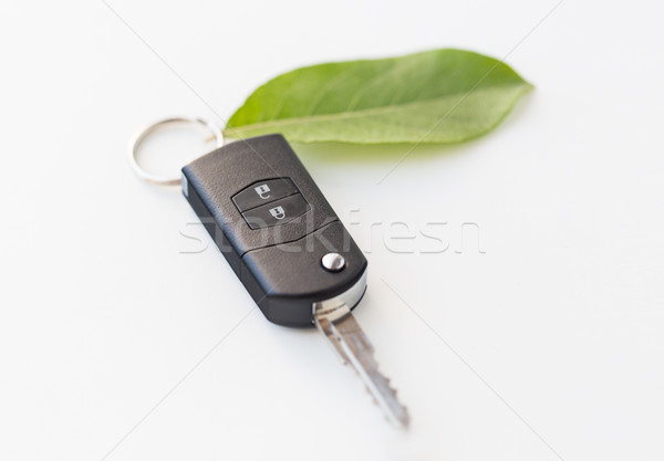 close up of car key and green leaf Stock photo © dolgachov