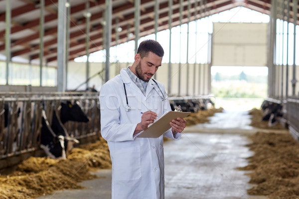 veterinarian with cows in cowshed on dairy farm Stock photo © dolgachov