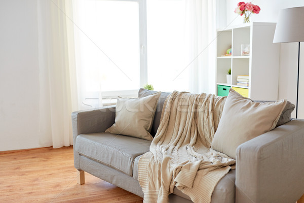 [[stock_photo]]: Canapé · confortable · maison · salon · confort