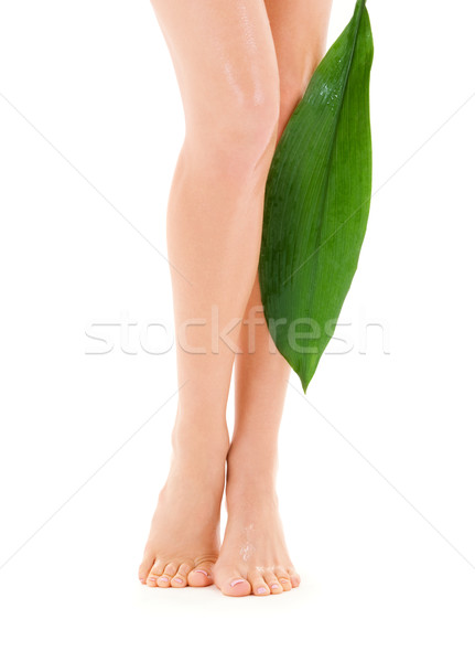 female legs with green leaf Stock photo © dolgachov