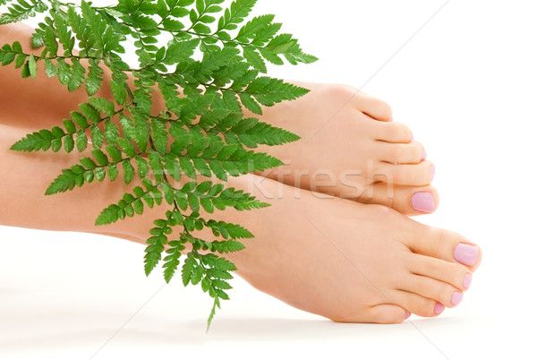 female feet with green leaf Stock photo © dolgachov