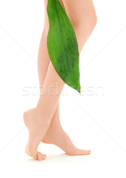 female legs with green leaf Stock photo © dolgachov