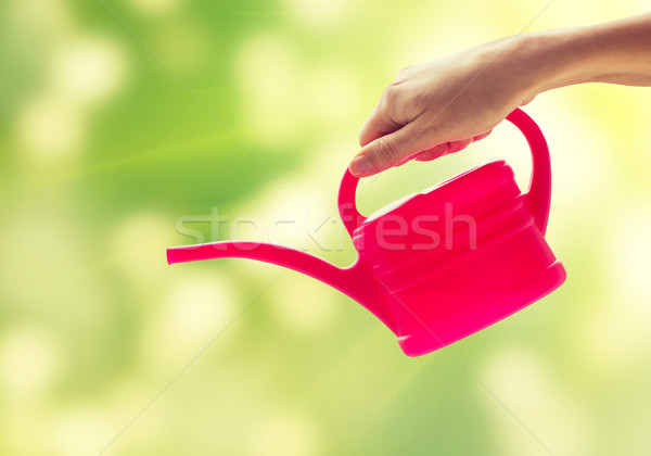close up of woman hand holding watering can Stock photo © dolgachov