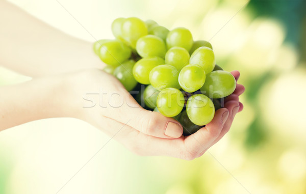 Kobieta ręce zielone winogron Zdjęcia stock © dolgachov