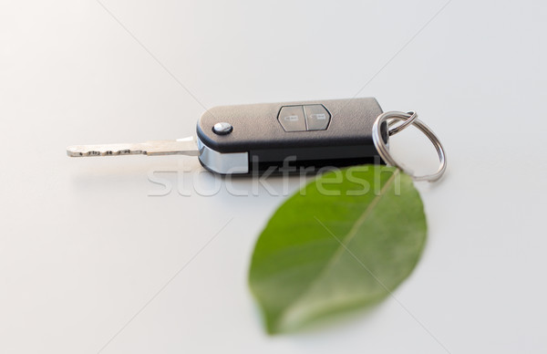ключи от машины зеленый лист сохранение среде транспорт Сток-фото © dolgachov