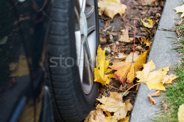 close up of car wheel and autumn leaves Stock photo © dolgachov