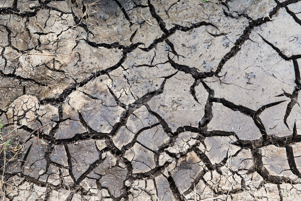 Wyschnięcia pęknięty ziemi powierzchnia susza ekologia Zdjęcia stock © dolgachov