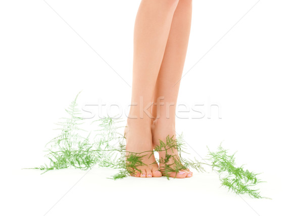 female legs with green plant Stock photo © dolgachov