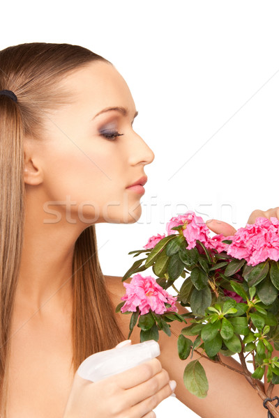 [[stock_photo]]: Ménagère · fleurs · lumineuses · photos · femme · fleur