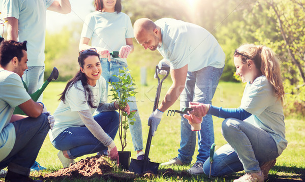 Foto stock: Grupo · voluntarios · árbol · parque · voluntariado