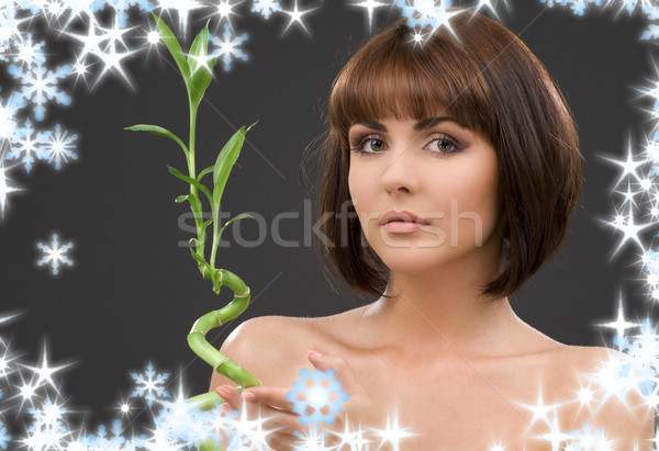 brunette with bamboo over grey Stock photo © dolgachov
