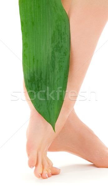 female legs with green leaf Stock photo © dolgachov