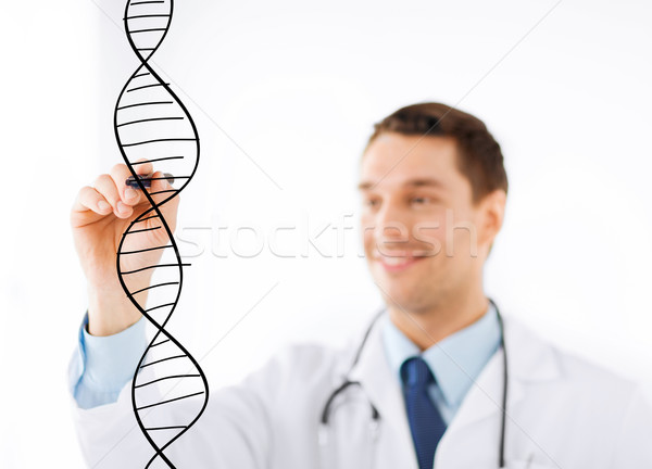 doctor drawing dna molecule on virtual screen Stock photo © dolgachov