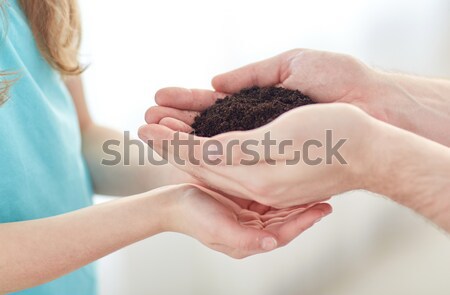 close up of father and girl hands holding sprout Stock photo © dolgachov