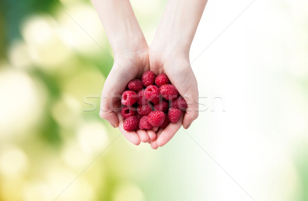 Stock photo: close up of woman hands holding raspberries