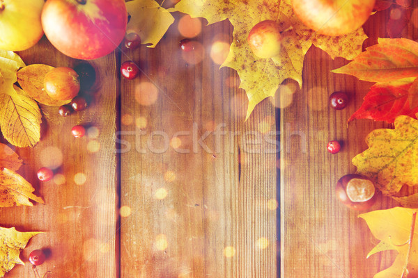 Marco hojas de otoño frutas bayas madera naturaleza Foto stock © dolgachov
