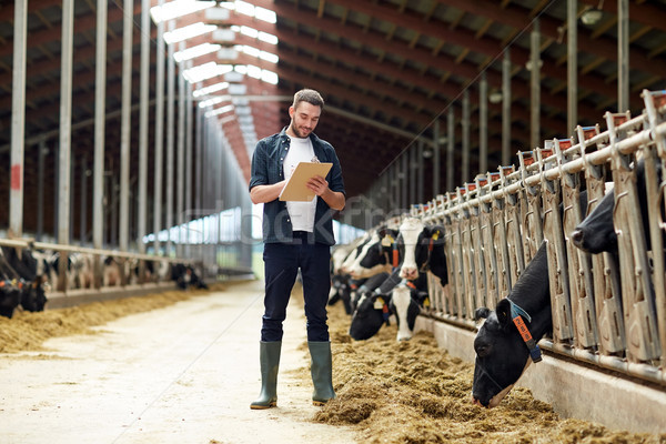 Stock photo: farmer with clipboard and cows in cowshed on farm