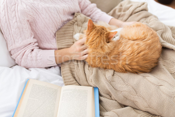 close up of owner stroking red cat in bed at home Stock photo © dolgachov