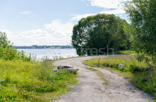 road at seaside Stock photo © dolgachov