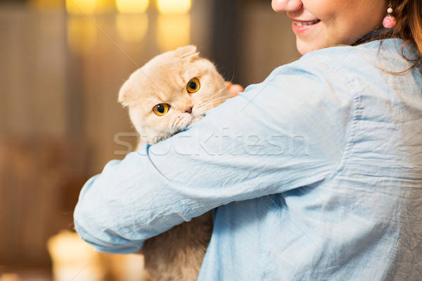 happy woman holding scottish fold cat at home Stock photo © dolgachov