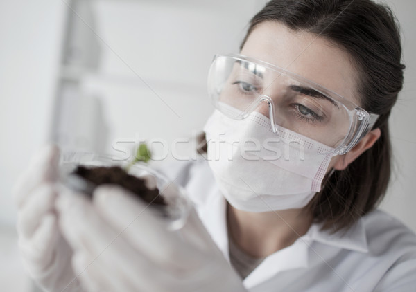 close up of scientist with plant and soil in lab Stock photo © dolgachov