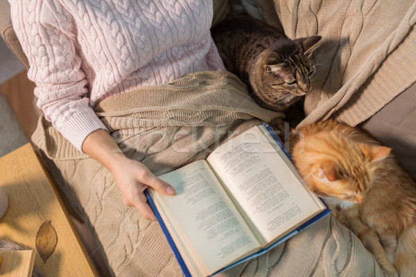 red and tabby and owner reading book at home Stock photo © dolgachov