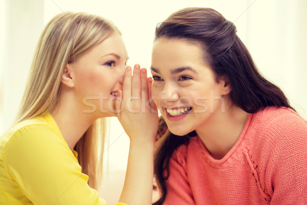 一個女孩 秘密 友誼 閒話 幸福 商業照片 © dolgachov