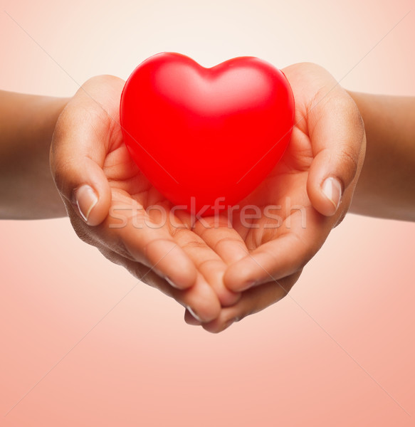 close up of female hands holding small red heart Stock photo © dolgachov