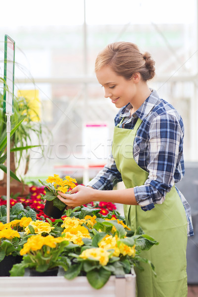 happy woman holding flowers in greenhouse Stock photo © dolgachov