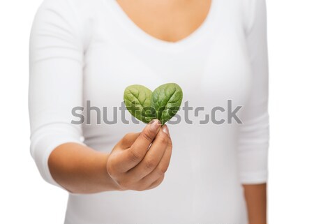 Handen groene bewustzijn lint Stockfoto © dolgachov