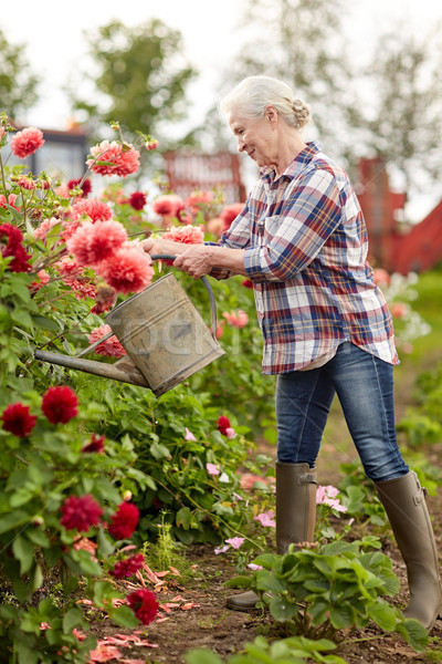 senior woman watering flowers at summer garden Stock photo © dolgachov