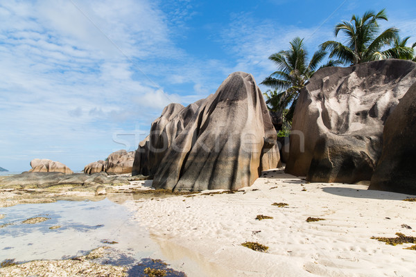 Eiland strand indian oceaan Seychellen reizen Stockfoto © dolgachov