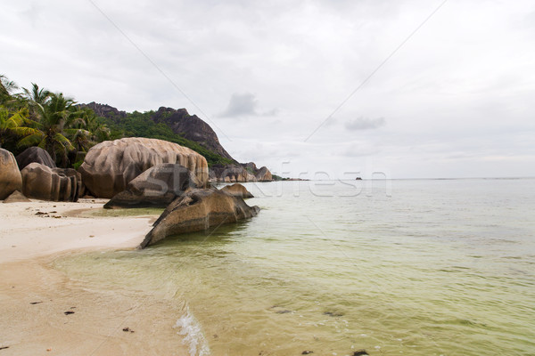 island beach in indian ocean on seychelles Stock photo © dolgachov
