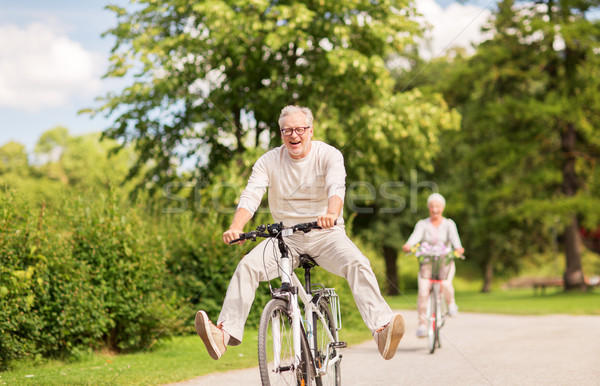 Feliz pareja de ancianos equitación bicicletas verano parque Foto stock © dolgachov