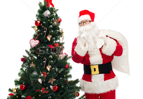 santa claus with bag and christmas tree Stock photo © dolgachov