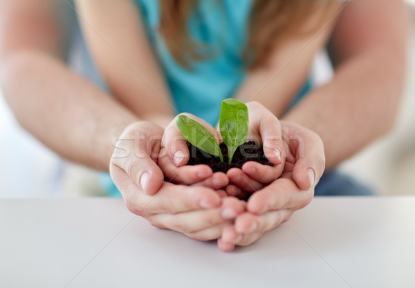 Stockfoto: Vader · meisje · handen · spruit