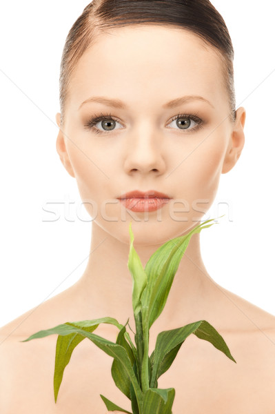 woman with sprout Stock photo © dolgachov