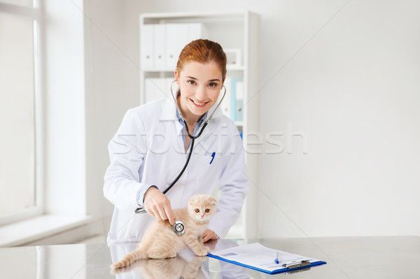 Сток-фото: счастливым · ветеринар · котенка · ветеринар · клинике · медицина