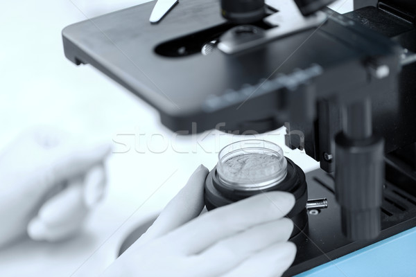 Mână microscop praf esantion ştiinţă Imagine de stoc © dolgachov