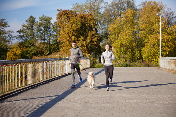 Feliz Pareja perro ejecutando aire libre fitness Foto stock © dolgachov