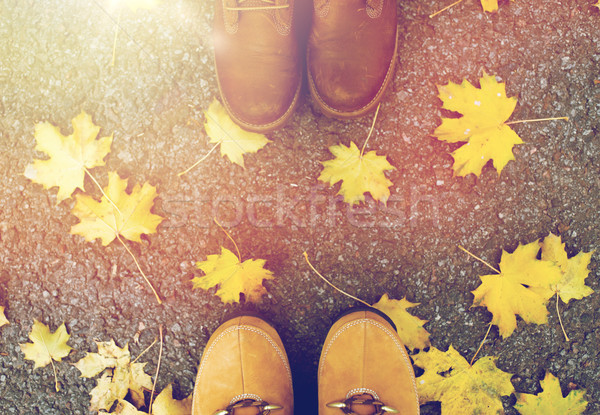 couple of feet in boots and autumn leaves Stock photo © dolgachov